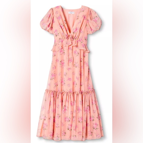 LoveShackFancy Dresses & Skirts - LoveShackFactory X Target - Fleur Chiffon Pink Floral Lined Maxi Dress Size 8